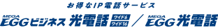 MEGA EGG ビジネス 光電話 / MEGA EGG 光電話